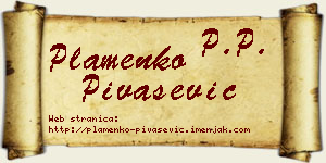 Plamenko Pivašević vizit kartica